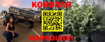 прущие крисы Донской